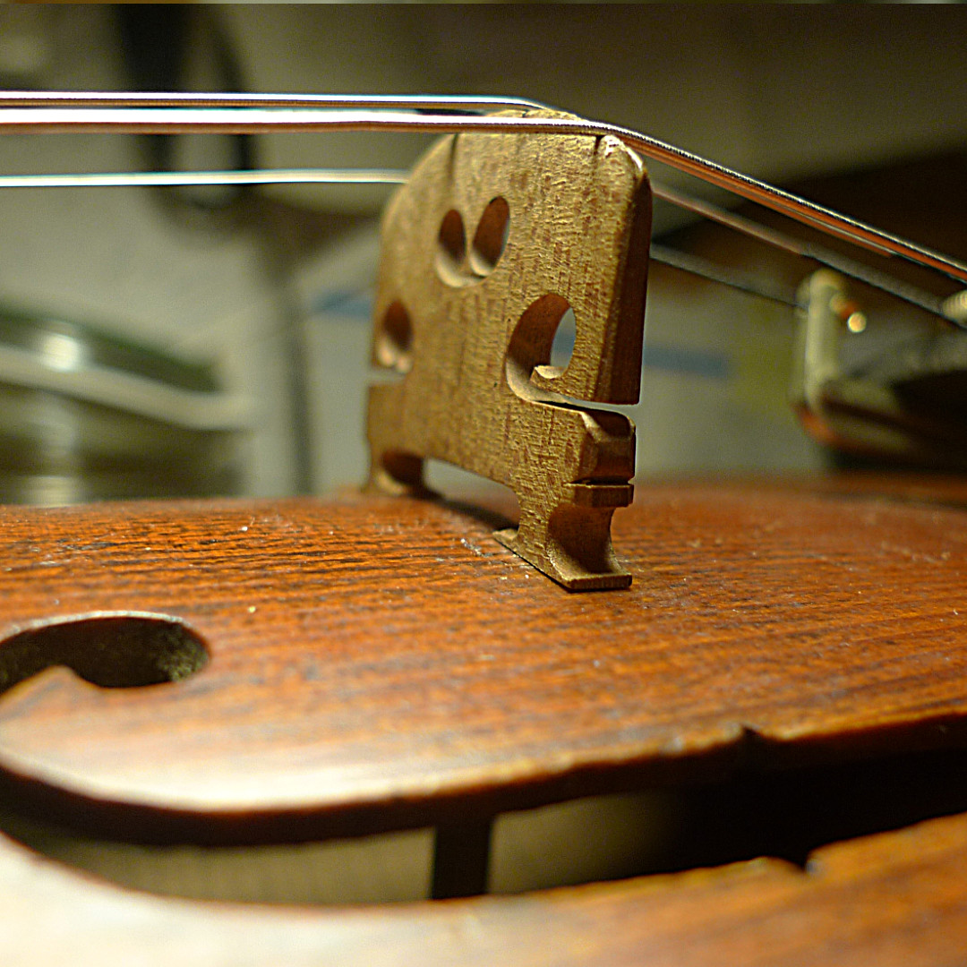 Violine 01