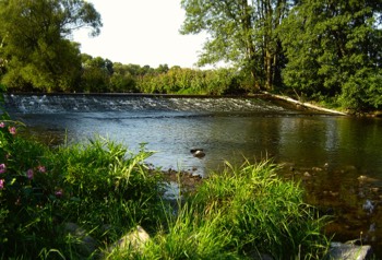  Desert Inn Flyfishing 