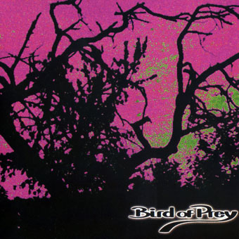  Bird of Pray - Rec/Mix/Master 