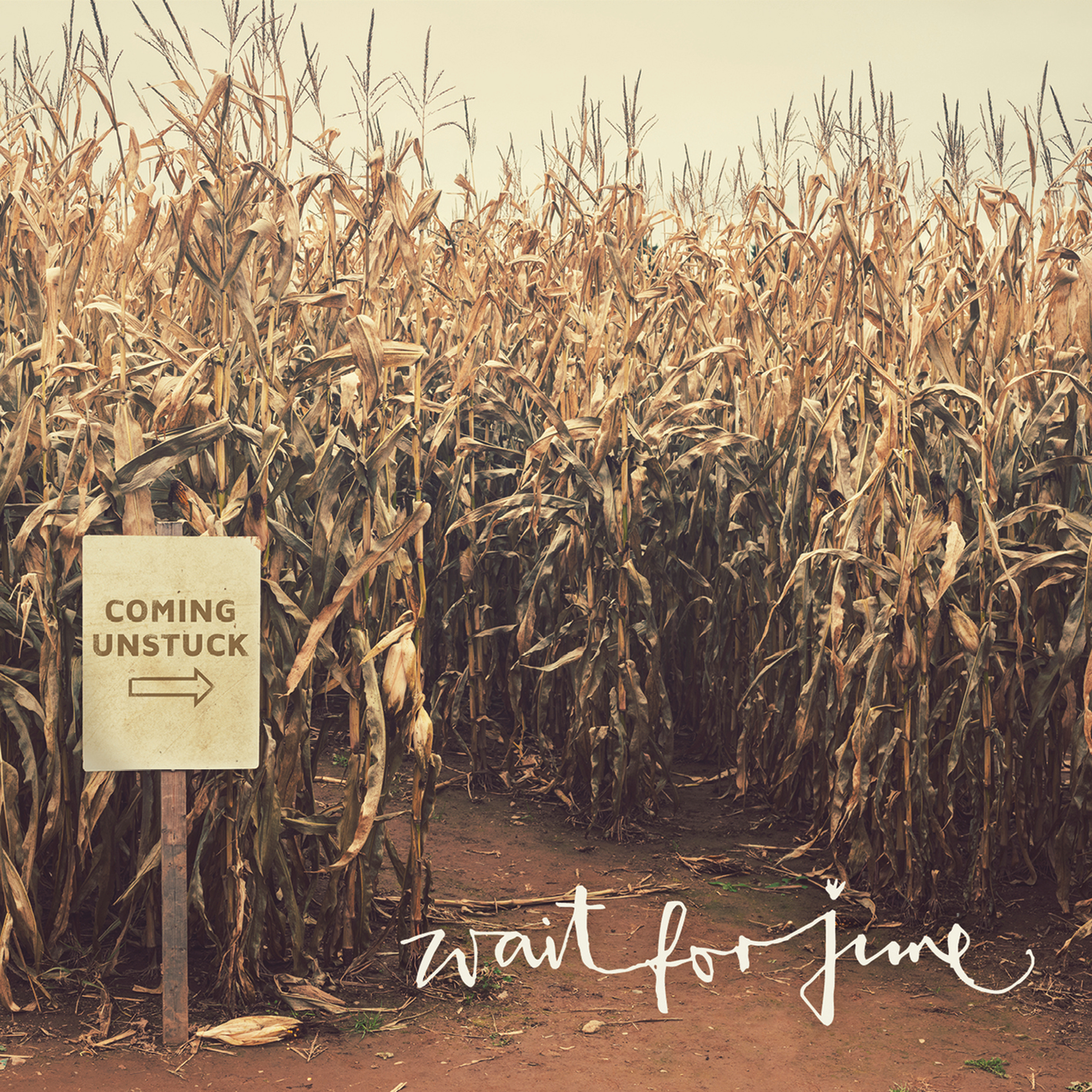  Wait for june - Rec/Mix/Master 